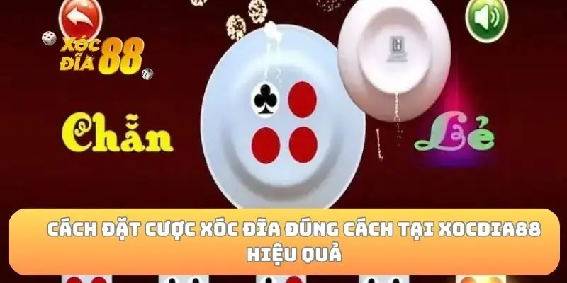 Cách đặt cược xóc đĩa đúng cách tại xocdia88 hiệu quả